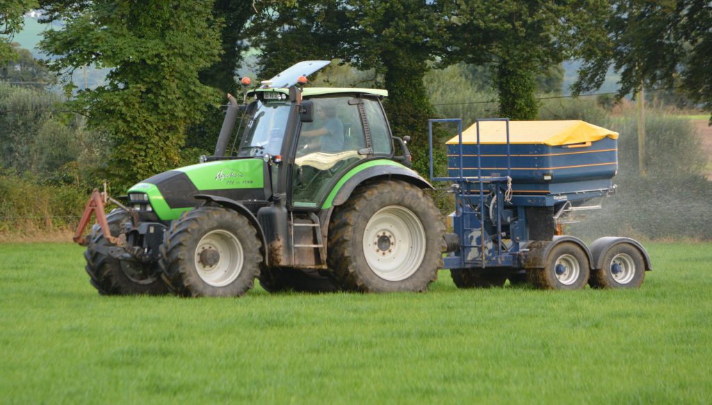 Image source: Shane Casey