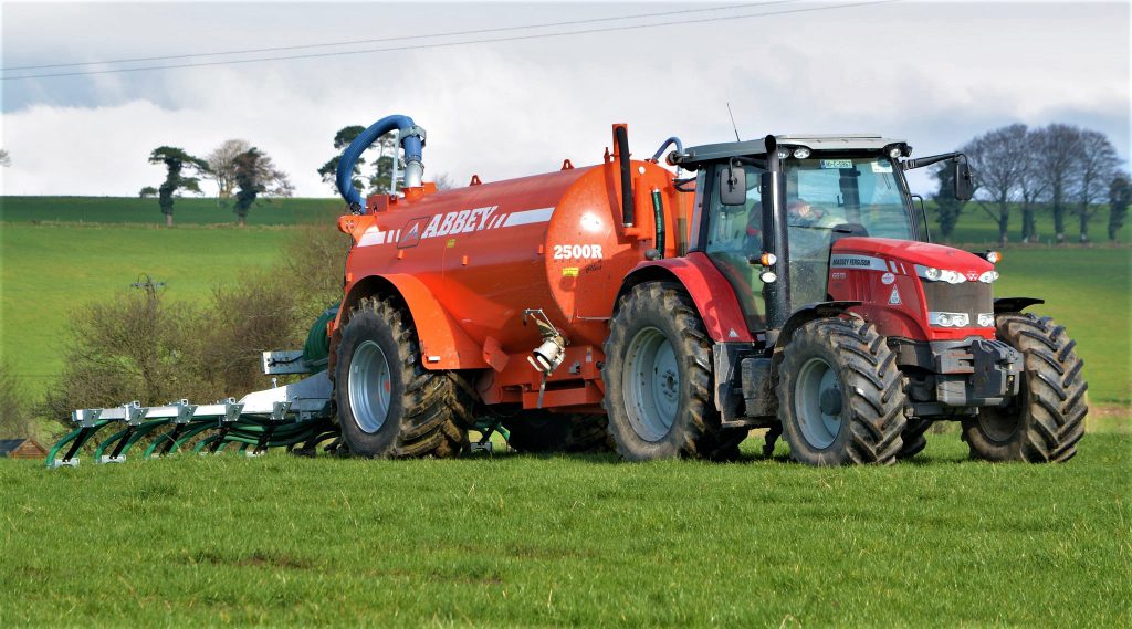 Image source: Shane Casey