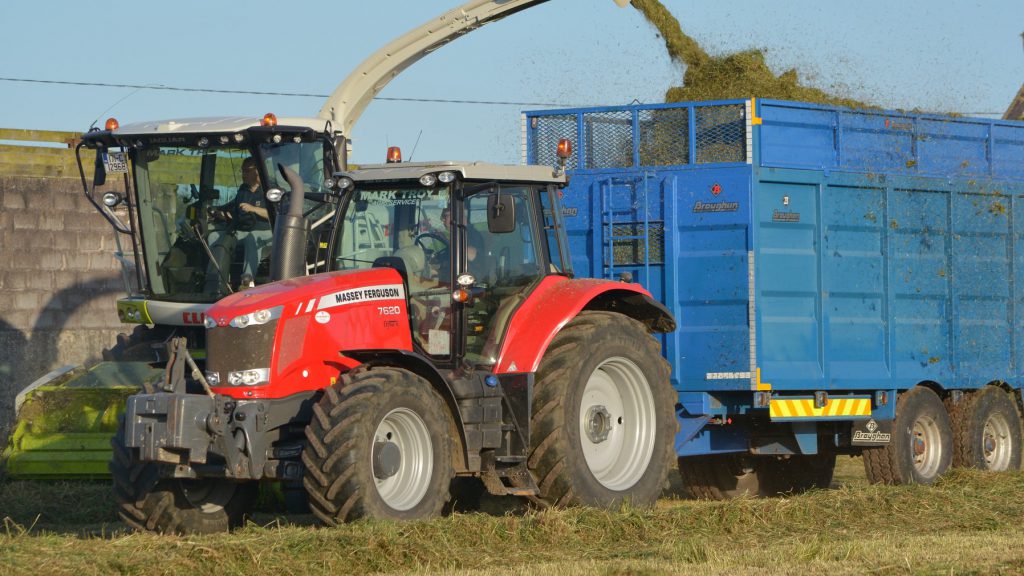 Image source: Shane Casey