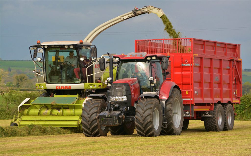 Image source: Shane Casey