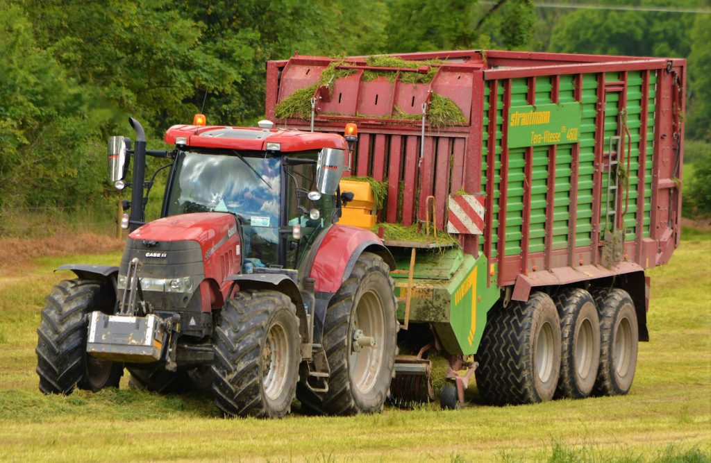 Image source: Shane Casey