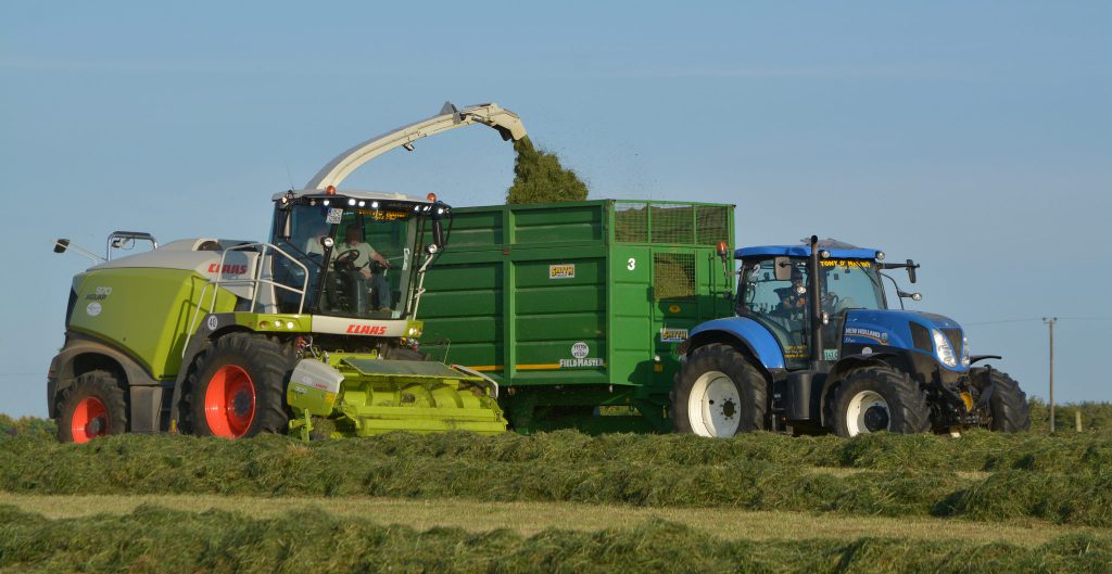 Image source: Shane Casey