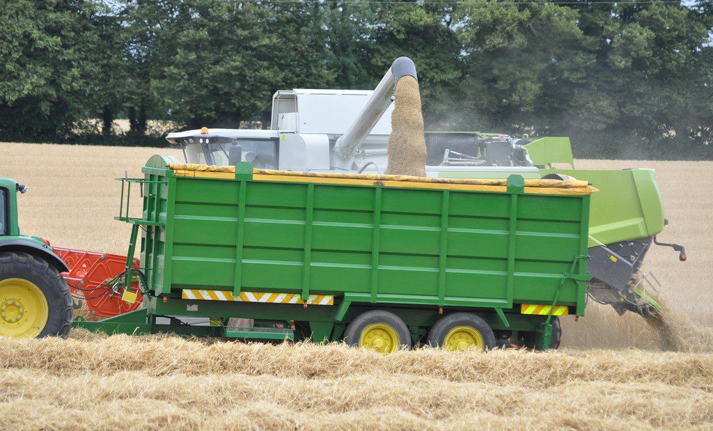 Image source: Shane Casey