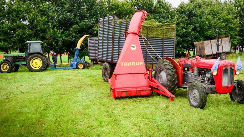 Image source: Ard Eireann Photography