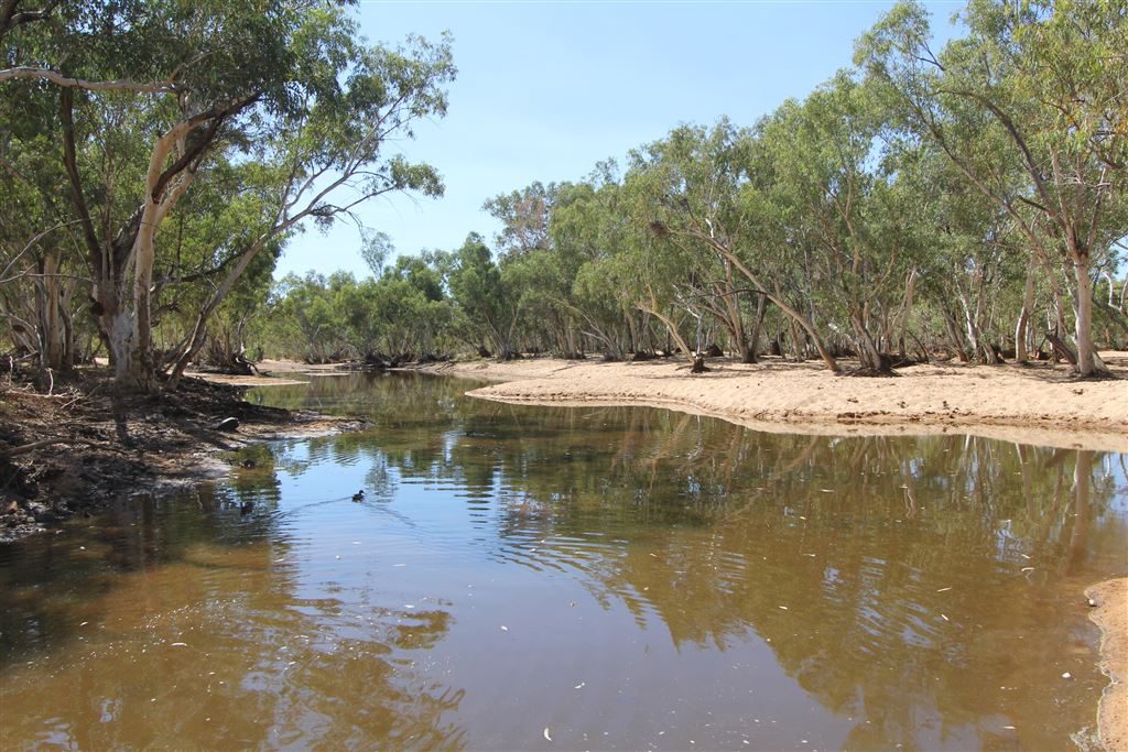 Image source: Landmark Harcourts