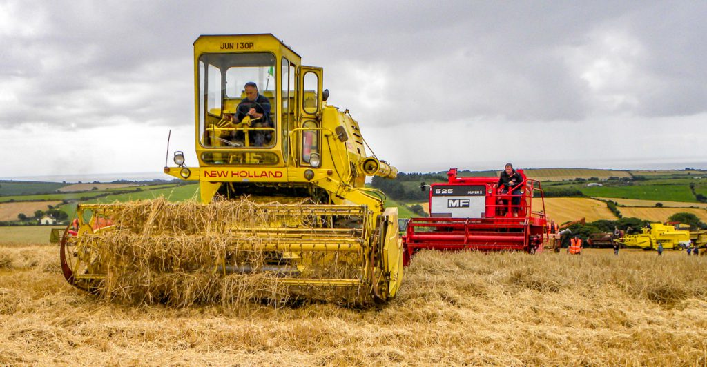 Conditions were best described as ‘muggy’ – not ideal for cutting and threshing. Straw was tending to wrap around the reel, in more than one case. Nonetheless, it remained dry overhead and the combines battled on