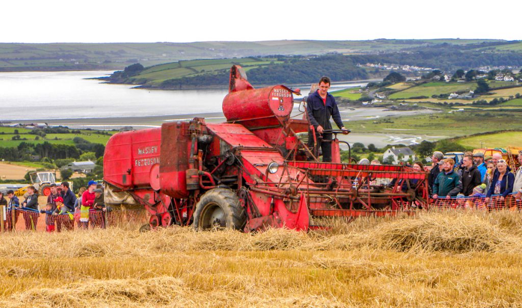 At the helm of this 1960 Massey Ferguson 780 Special was Eamon Geary from Horsehill, Ballinadee. Massey Harris had developed its self-propelled combine harvester design over many years; it resulted in the 780 model (which was manufactured in Scotland for the European market). It was sold under the Massey Ferguson brand-name from 1957