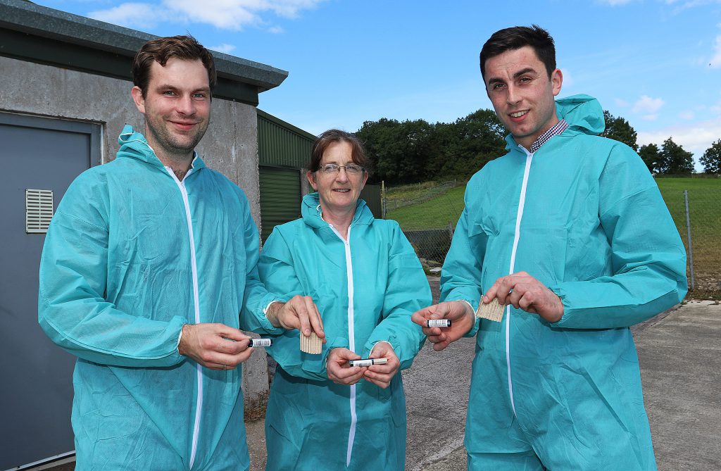 Berrian Lammers of Avivet with Maureen Prendergast and Thomas Gallagher from MSD Animal Health discussing the innovative new poultry red mite traps from AviVet on farm