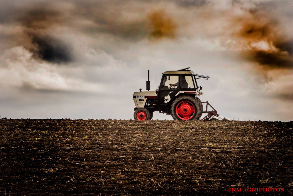 Image source: RM Agriphotos