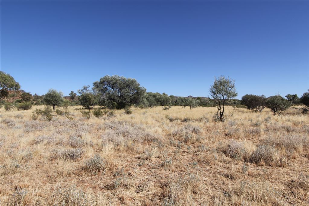 Image source: Landmark Harcourts