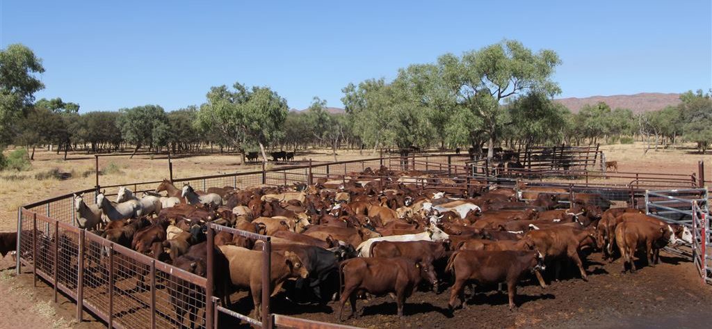 Image source: Landmark Harcourts