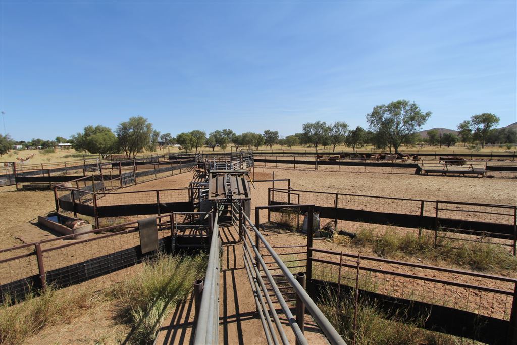 Image source: Landmark Harcourts