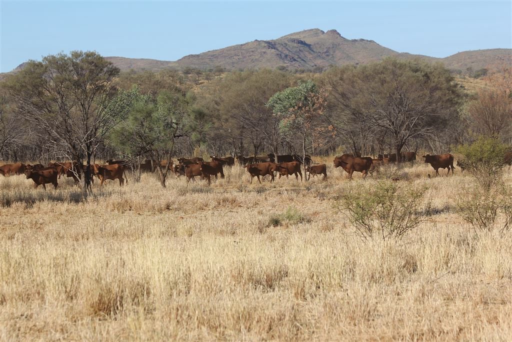 Image source: Landmark Harcourts