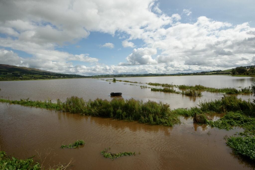 Image source: Clive Wasson