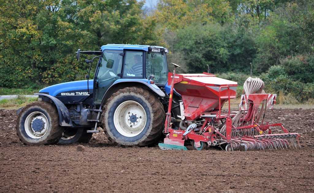 Image source: Shane Casey