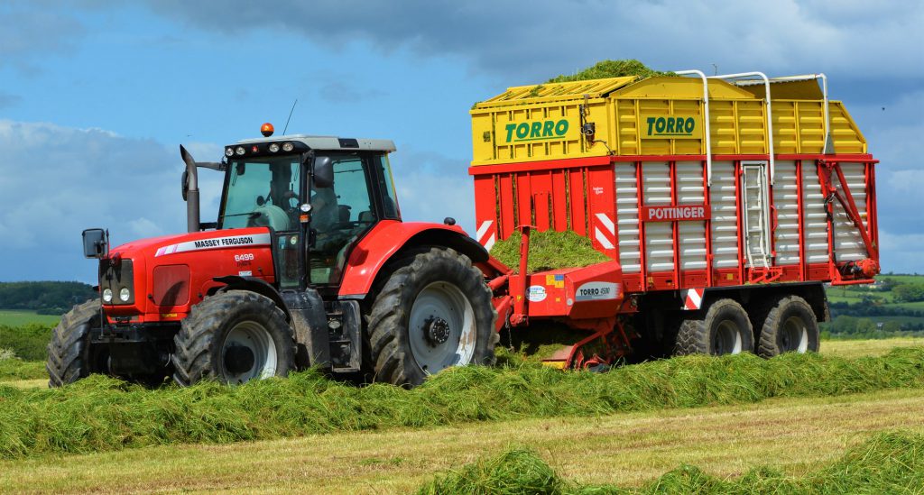 Image source: Shane Casey