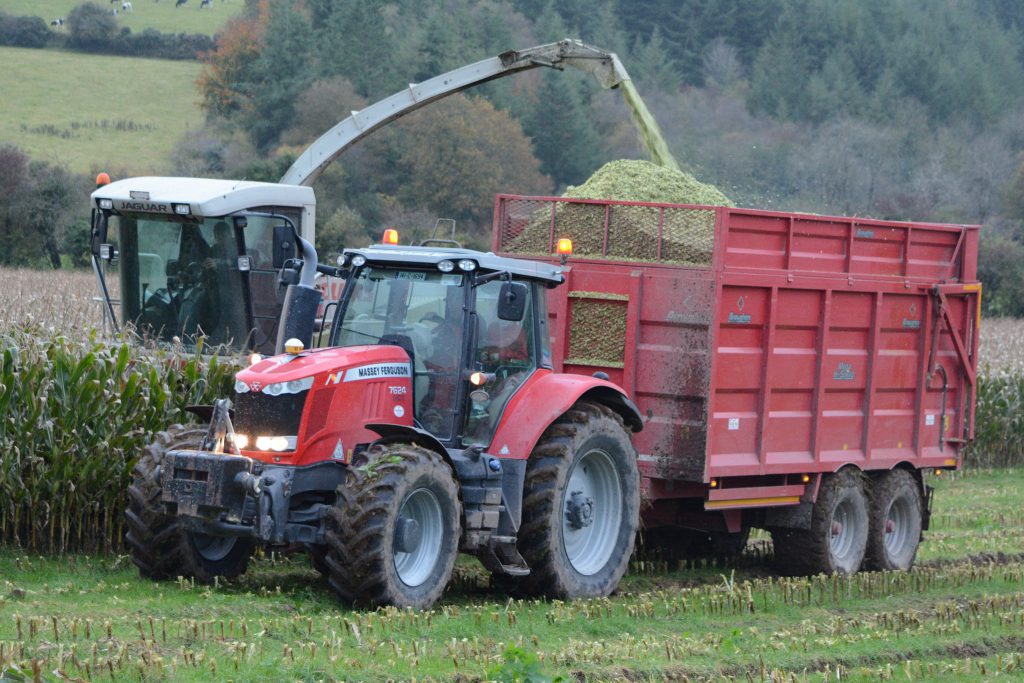 Image source: Shane Casey