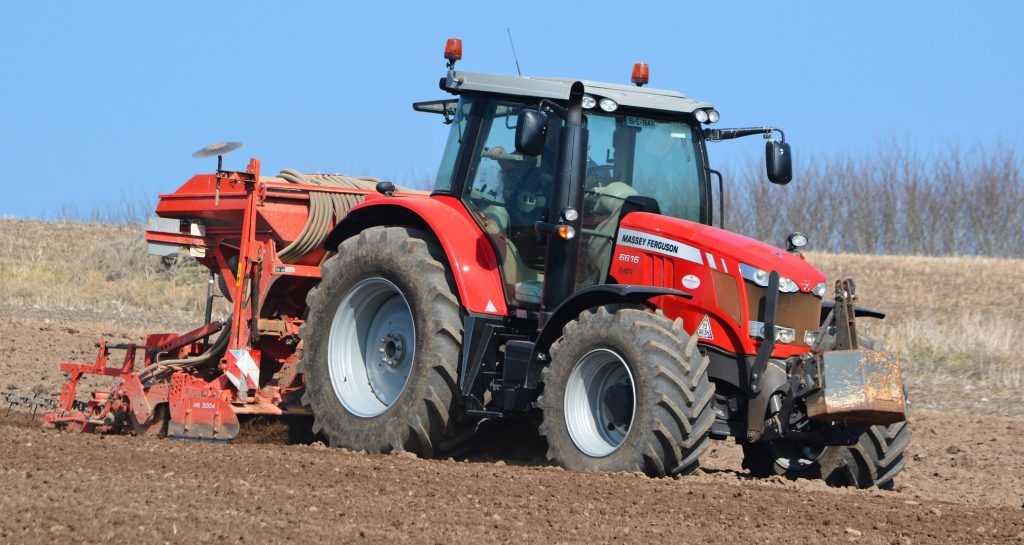 Image source: Shane Casey