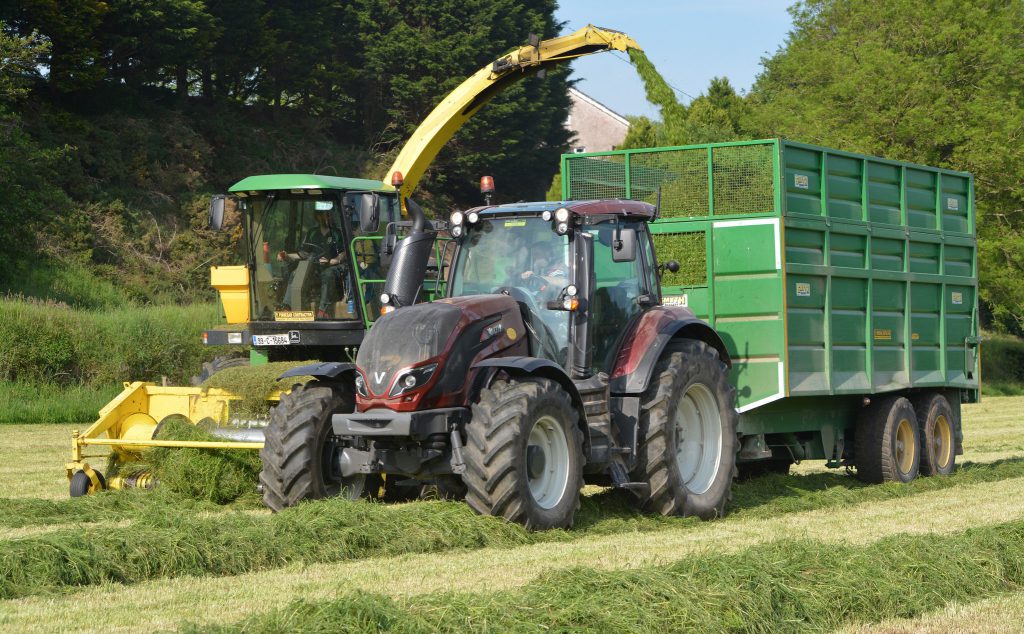 Image source: Shane Casey