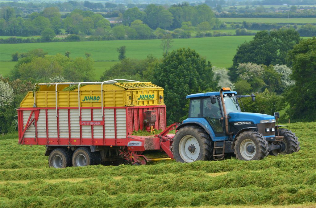 Image source: Shane Casey