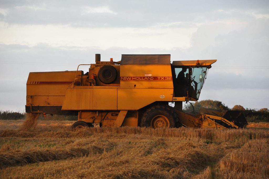 Image source: Shane Casey