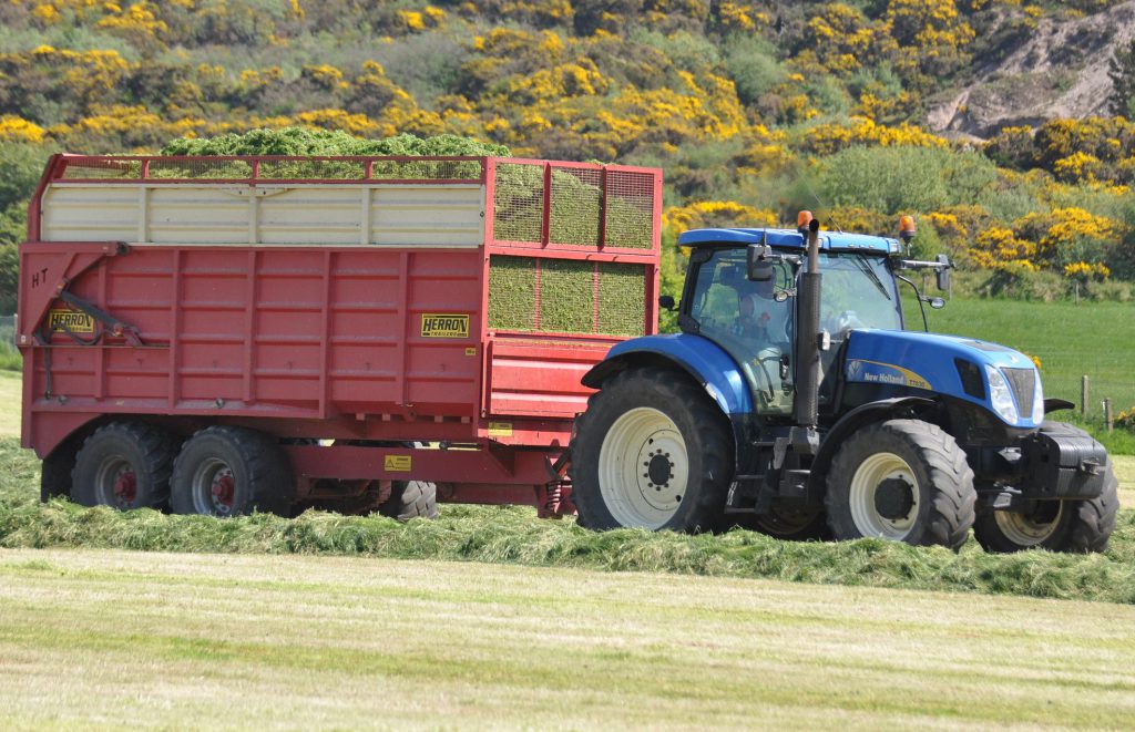 Image source: Shane Casey