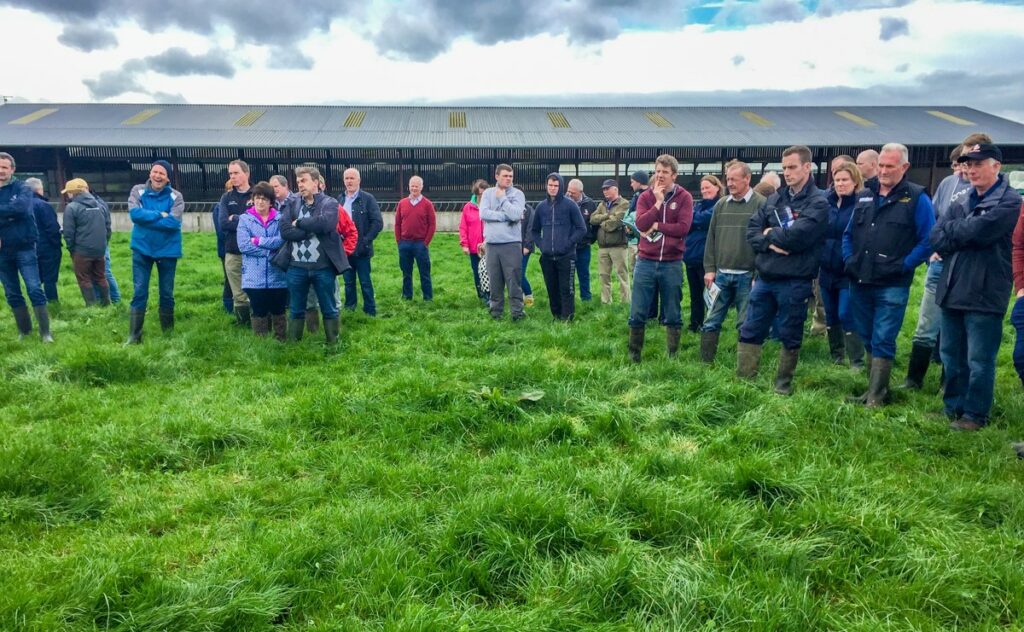 Crowds on Kenny Roberts’s farm at a walk earlier this week