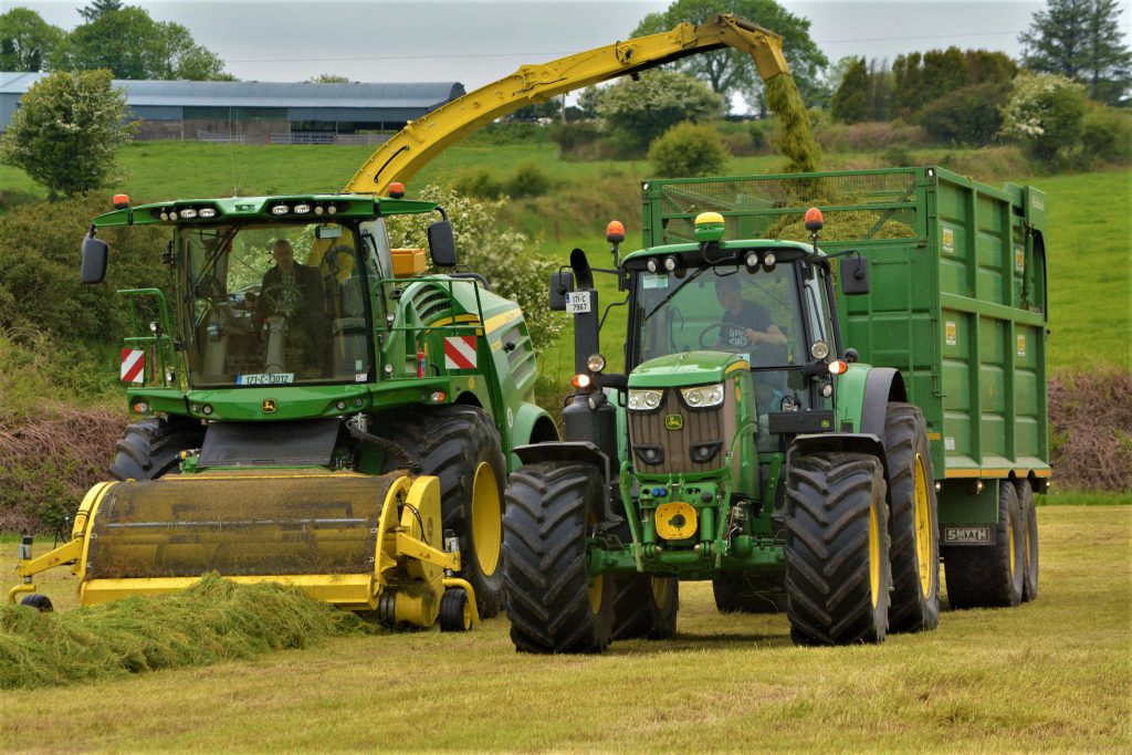 Image source: Shane Casey