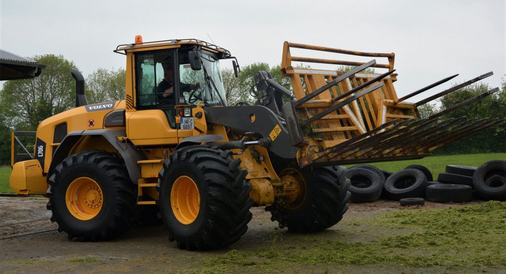 Image source: Shane Casey