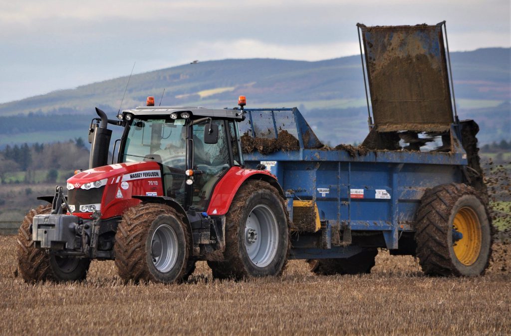 Image source: Shane Casey