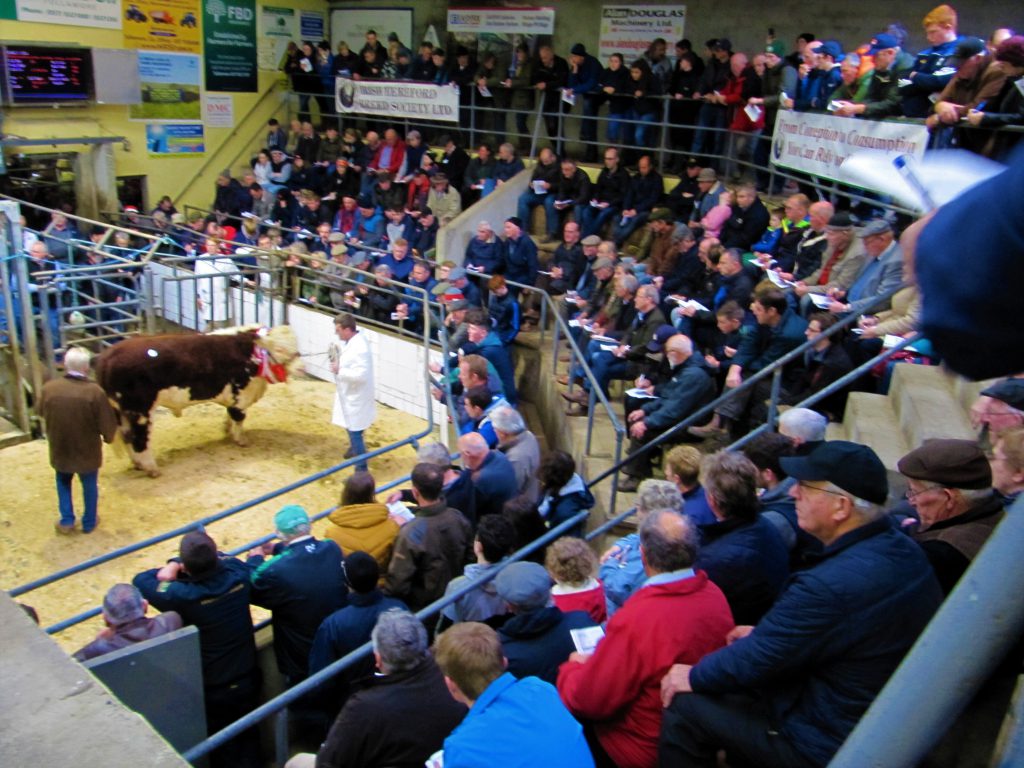 Good crowds at the event: “You wouldn’t get turning a sweet in your mouth” – Quote of the day from auctioneer Hugh Mulvihill