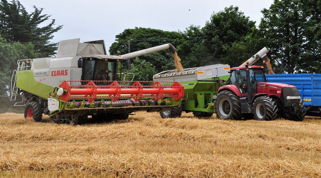 Image source: Shane Casey