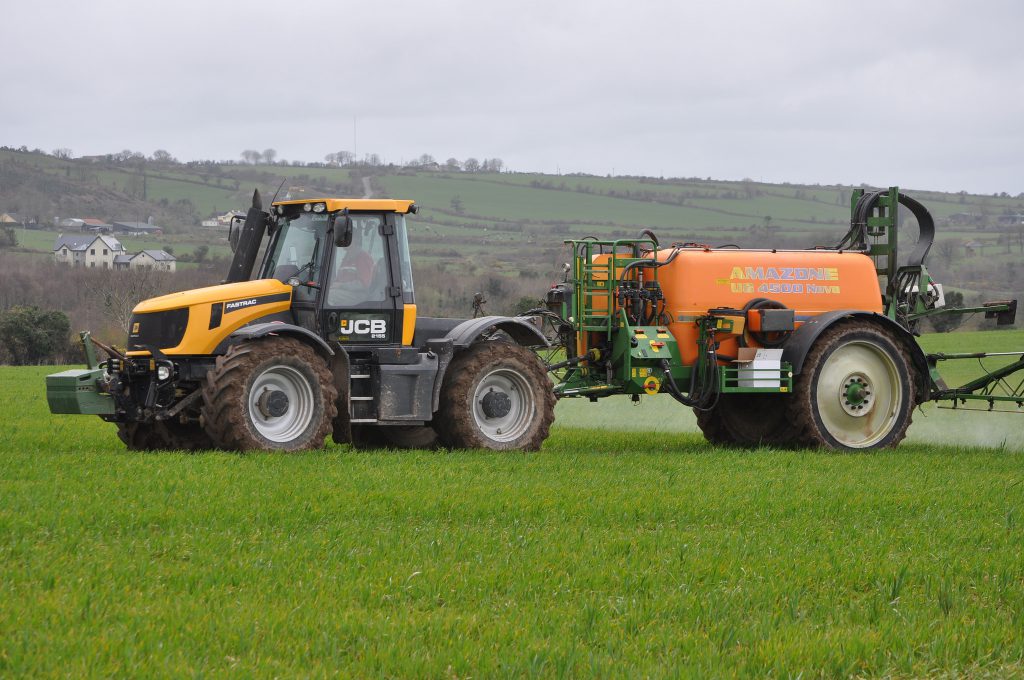 Image source: Shane Casey