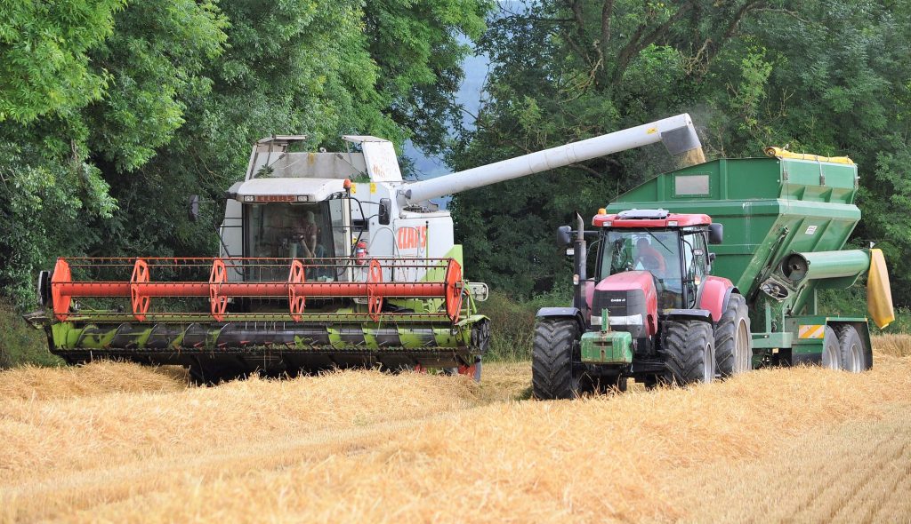 Image source: Shane Casey