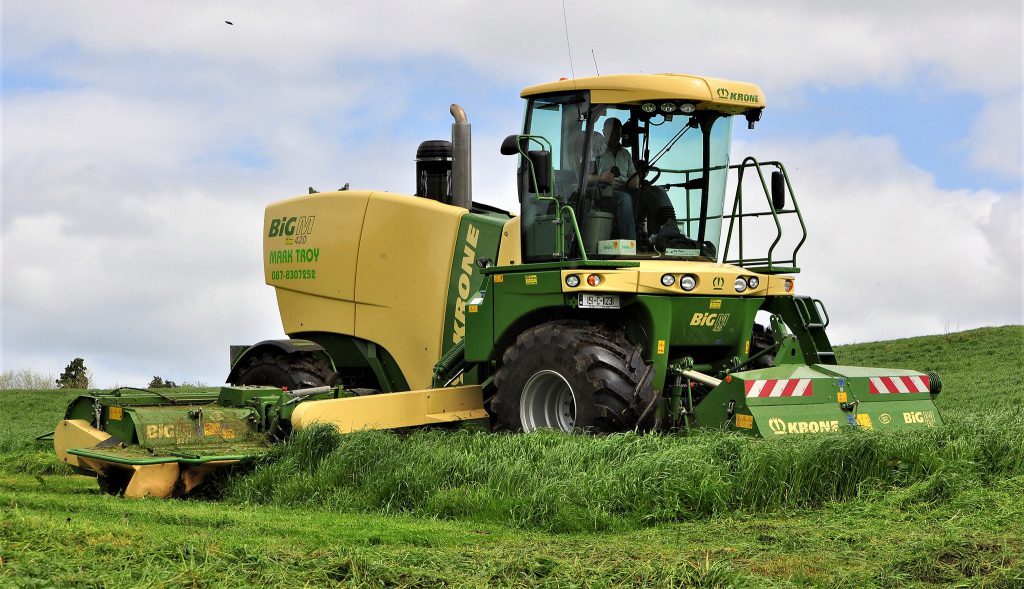 Image source: Shane Casey