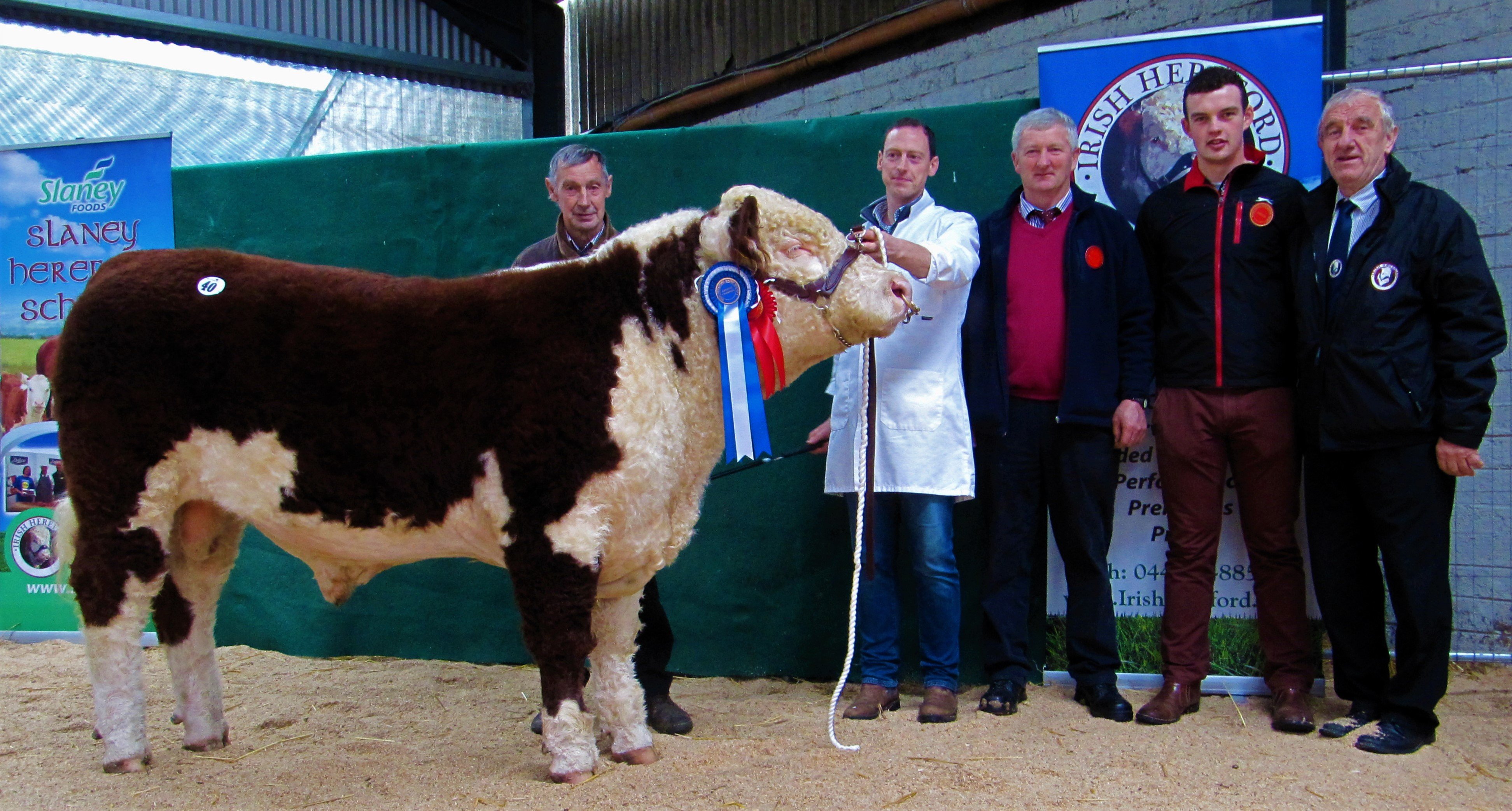Reserve Bull Champion Grianan Ranger sold for €4,000. Pictured: Tom and Anselm Fitzgerald; Gene and Owen Lynch (Judges); Pat McCarthy IHBS president
