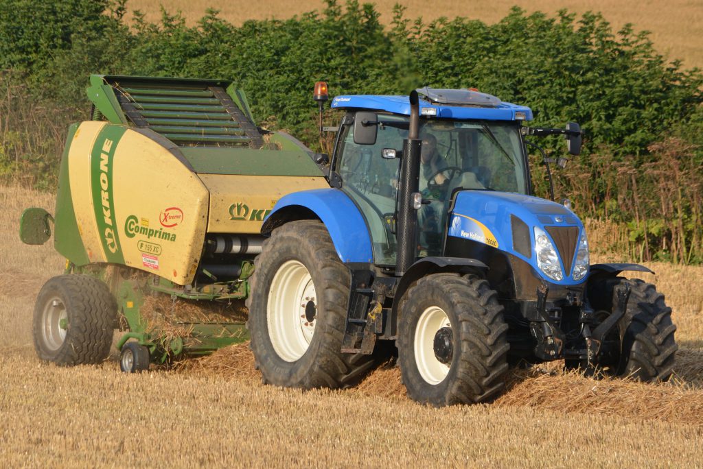 Image source: Shane Casey