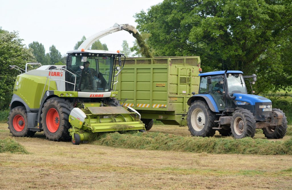 Image source: Shane Casey