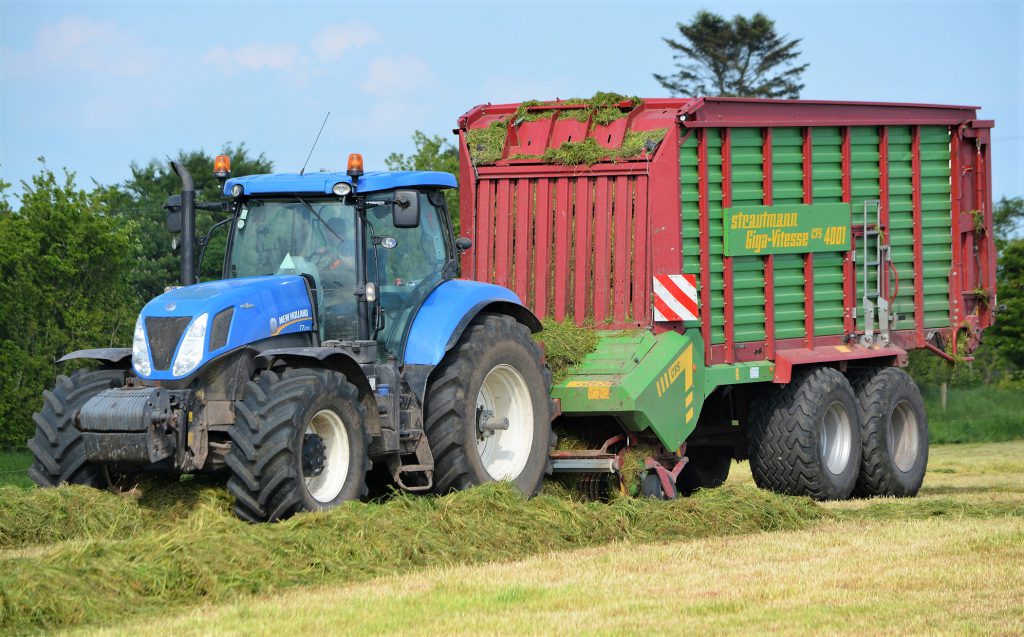 Image source: Shane Casey