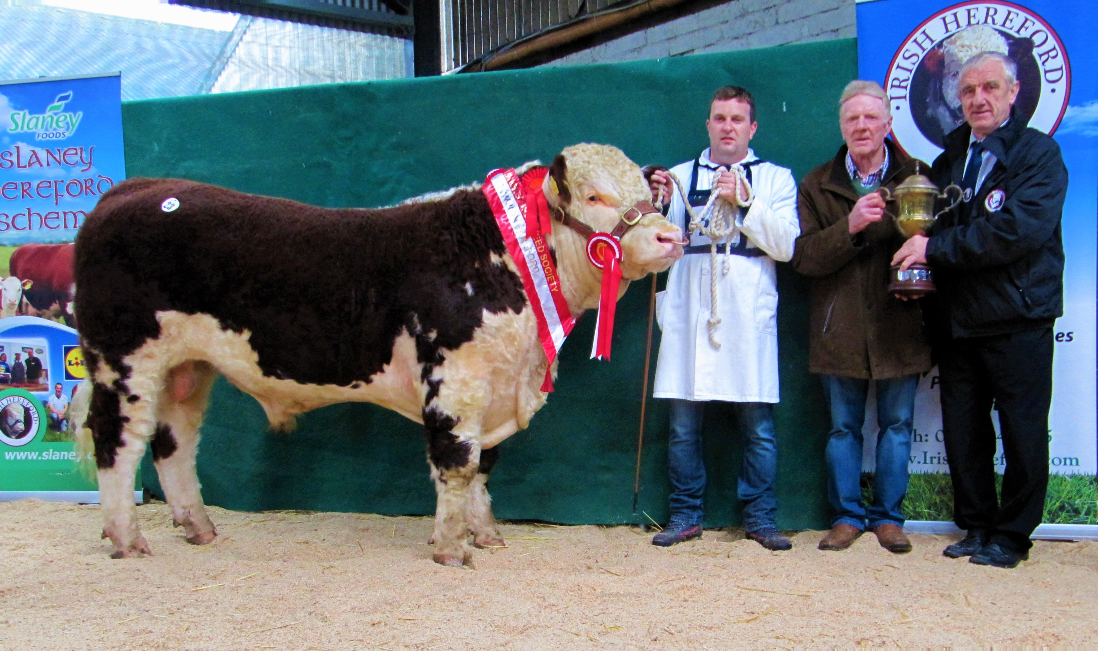 Shane and Sean Kilrane with their Champion bull, Drumboy Jamie, that sold for €3,650 in Tullamore. IHBS president Pat McCarthy presenting them with the Bank of Ireland Cup
