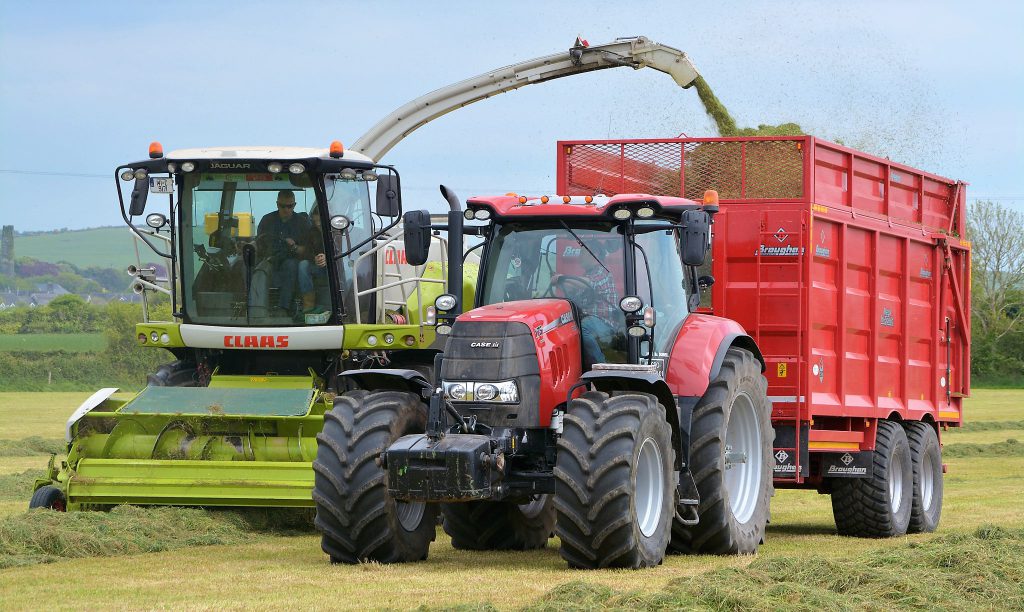 Image source: Shane Casey