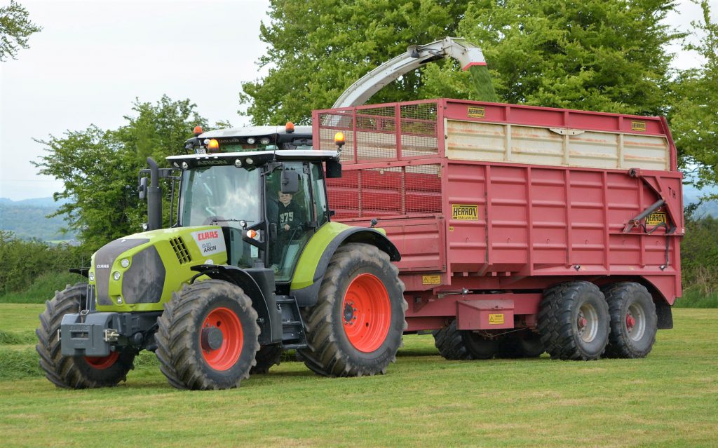 Image source: Shane Casey