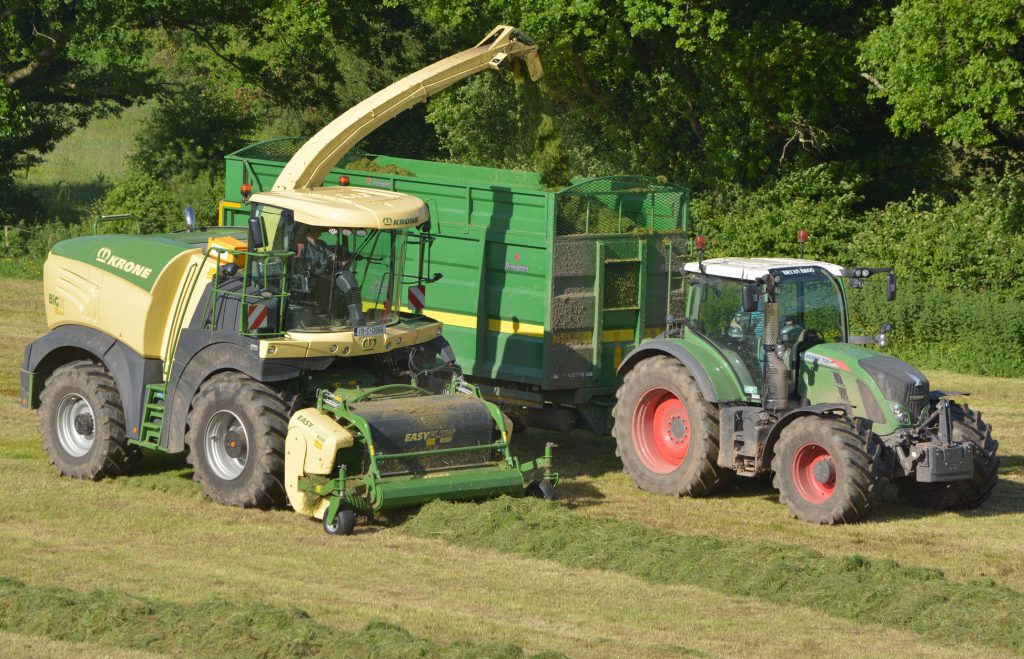 Image source: Shane Casey