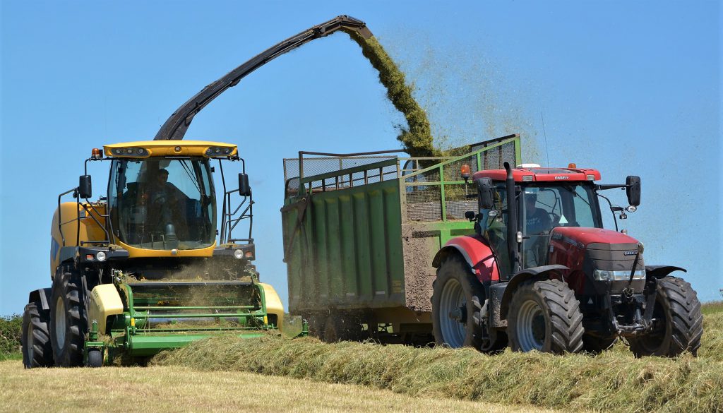 Image source: Shane Casey