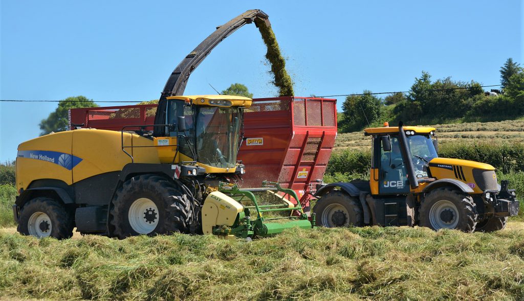 Image source: Shane Casey