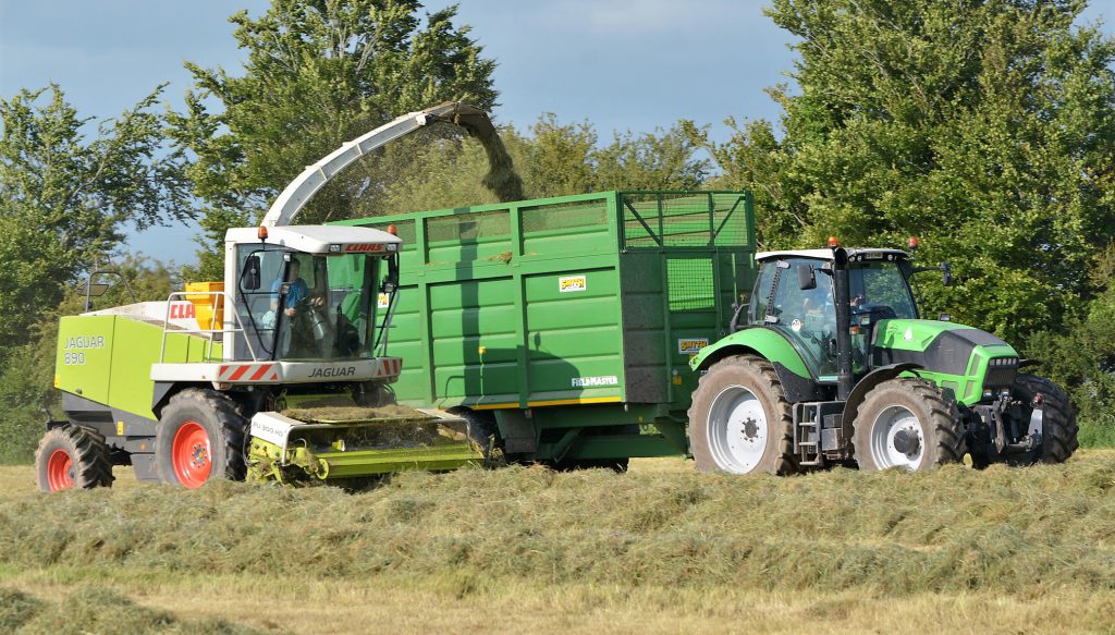 Image source: Shane Casey