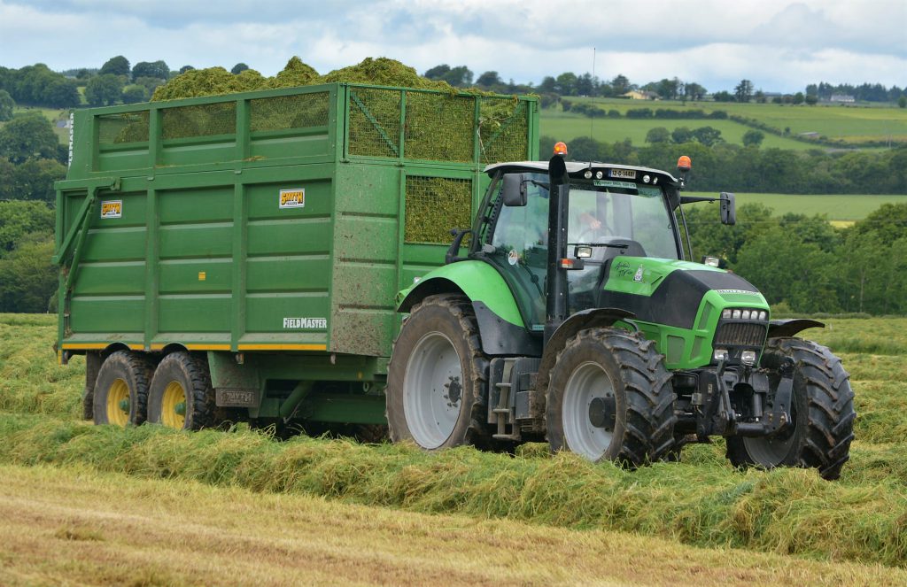 Image source: Shane Casey