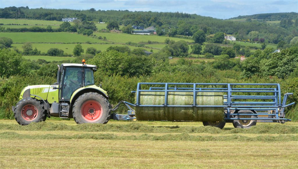 Image source: Shane Casey