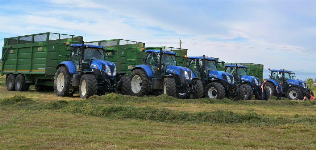 Image source: Shane Casey