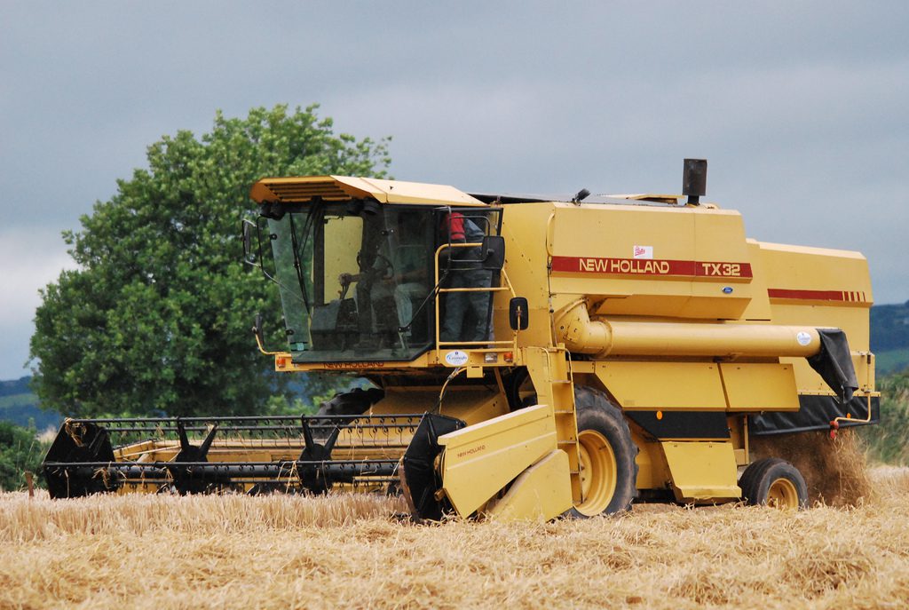 Image source: Shane Casey